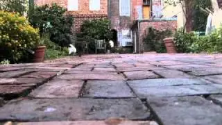 The Crawdaddies, Life of Riley music video