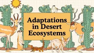 Adaptations in Desert Ecosystems | Survival in Extreme Conditions #ecosystem #desert #adaptations