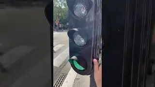 BROKEN TRAFFIC LIGHT IN PARIS!!! #SHORTS