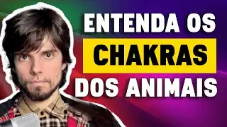 Os Chakras dos C&atilde;es e Gatos - e Dicas Para a Sa&uacute;de Energ&eacute;tica Deles
