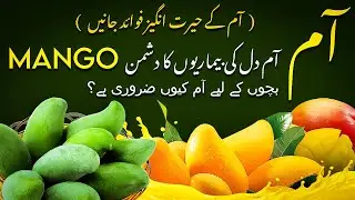 Top 5 Types of Mangoes in Pakistan & India | Mango Season Special