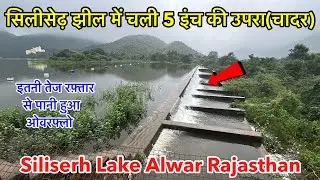 Siliserh Lake Alwar | सिलीसेढ़ झील में चली 5 इंच की उपरा(चादर) | Silised Lake Alwar 