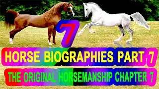 The Original Horsemanship Chapter( 7)