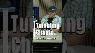 Do You NEED to Tumble Chaeto?