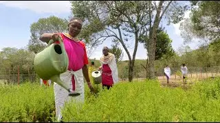 State of the World's Forests 2022: Green Recovery, Building Inclusive & Sustainable Green Economies