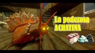 Como Tamear (domesticar) a la peligrosa ACHATINA - ARK MOBILE