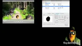 УЧЕБНОЕ ПОСОБИЕ QUICKTIME PRO &mdash; PIP-изображения, маскирование и границы