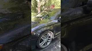paint correction and ceramic coating services anchorage alaska