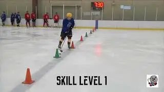 Skill Level 1