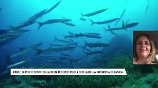 TCS MAGAZINE 17 GENNAIO 2026 ORE 1800