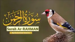 Al Rahman | سورة الرحمن | Qari Muhammad Ibrahim | Powerful Quran Recitation | English Translation