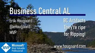 Business Central AL Artifacts There're ripe for Ripping!