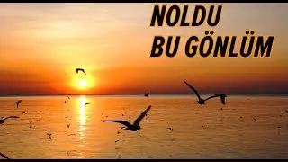 Noldu Bu Gönlüm - Enstrümantal İlahi