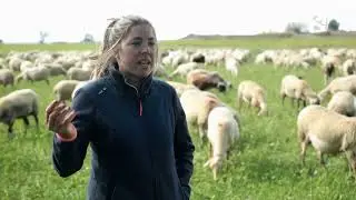 La importancia de que las ovejas no acaben hinchadas