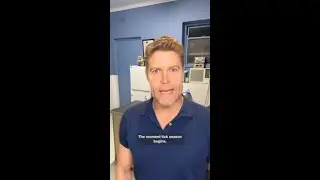 Bondi vet issues warning to all pet owners
