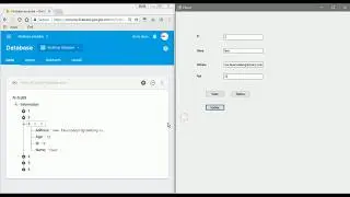 C# Application to Firebase Database - Update Data Realtime to Google's Firebase