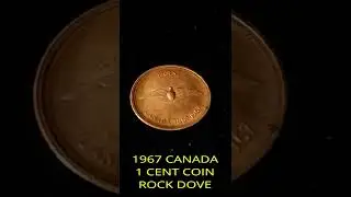 1967 CANADA 1 CENT COIN ROCK DOVE