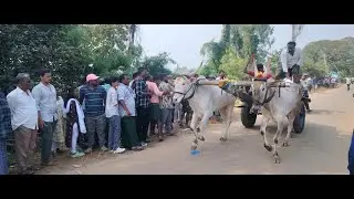 Kovur polerammma thalli pelllakuru bhargav kumar bulls at kovur bullrace race 