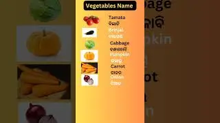 Daily used Vegetables name English to Odia | Odia Learning Videos for kids | Ranmita Media