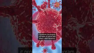 Benefits of IPT