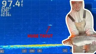 Slamming Huge Whitefish Lake Simcoe! (Livescope Footage)
