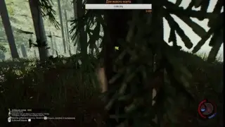 The Forest 0.62