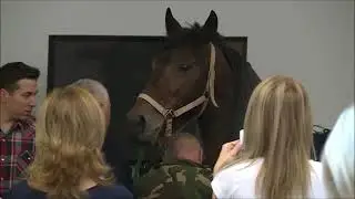 ANIMAL TREATMENT WITH NELSON QUANTUM BIOFEEDBACK
