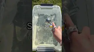 Can I Make NO GLUE SLIME? 😱🤨 *How to Make Slime Without Glue & Activator DIY*
