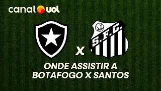 BOTAFOGO X SANTOS: ONDE ASSISTIR &Agrave; TRANSMISS&Atilde;O AO VIVO DO JOGO E HOR&Aacute;RIO PELO BRASILEIR&Atilde;O