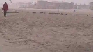 Winter Beach Walk