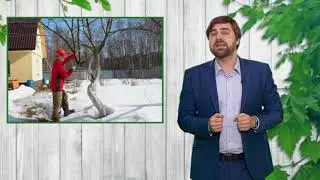 Весенние работы на даче)