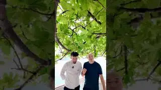 Blendi Fevziu | Varioli nga pun&euml;simi n&euml;p&euml;r bot&euml;, shef kuzhine n&euml; Vlor&euml;.