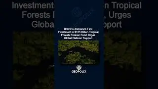 Brazil to Announce First Investment in $125 Billion Tropical Forests Forever Fund, Urges Global N...