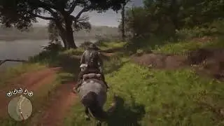 Max Horse Speed // Read Dead Redemption 2 // Story John