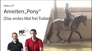 [47] Anreiten (Teil3) | erstes mal alleine aufsteigen und frei Traben  | 3j. Pony Hengst