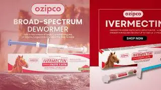 Ivermectin Horse Paste 1.87% | Apple Flavor&ndash;6.08g Syringe for Equine Use Only Up to 1250 LB (OZIPCO)