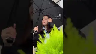 ZOMAKE Small Travel Umbrella Compact Automatic Folding Umbrella Lightweight Packable Umbrella