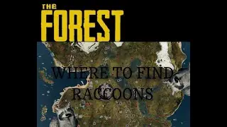 The Forest: Where to find Raccoons!