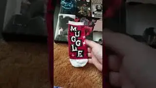 Harry Potter Target 12 days of socks - Day 2