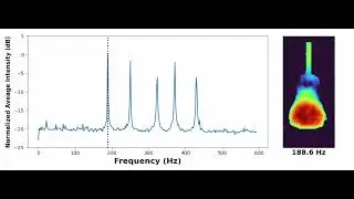 Guitar Spectrum and Modal Shapes with Ommatidia's Q1