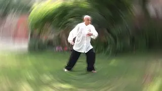 Forma 108 Taijiquan stile Yang  - Flavio Daniele - Tai Chi online - Area download video