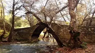 Tzelefos Kelefos bridge Paphos Forest Troodos Limassol Cyprus