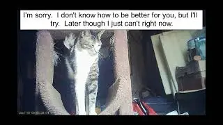 Emma's Animals 20 - Sad Cat is Depressed