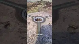 The roaches #viral #top #шортс #топ #video #видео #travel #путешествия #рекомендации #shortvideos