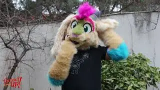 Teake the jackalope