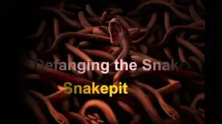 Defanging the Snake | November 2016 | Review 1