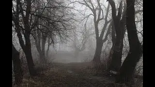 Як фотографувати туман