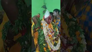Jai Maa Samaleswari 🚩Samalei maa 🙏 Maa Samaleswari Temple | Sambalpur #shorts #shortvideo #short
