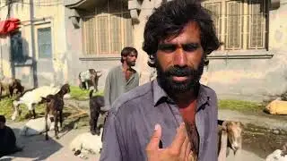 Sialkot Aimnabad Road Bakra mandi 3   3 lacs ke Rajah Puri Bakray