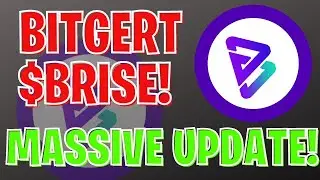 BITGERT $BRISE UPDATE! BITGERT STARTUP STUDIO IS MAKING MOVES! BREAKOUT COMING!